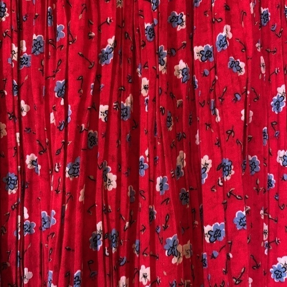 Prairie Pleated Flower Printed Maxi Skirt - Picture 6 of 6